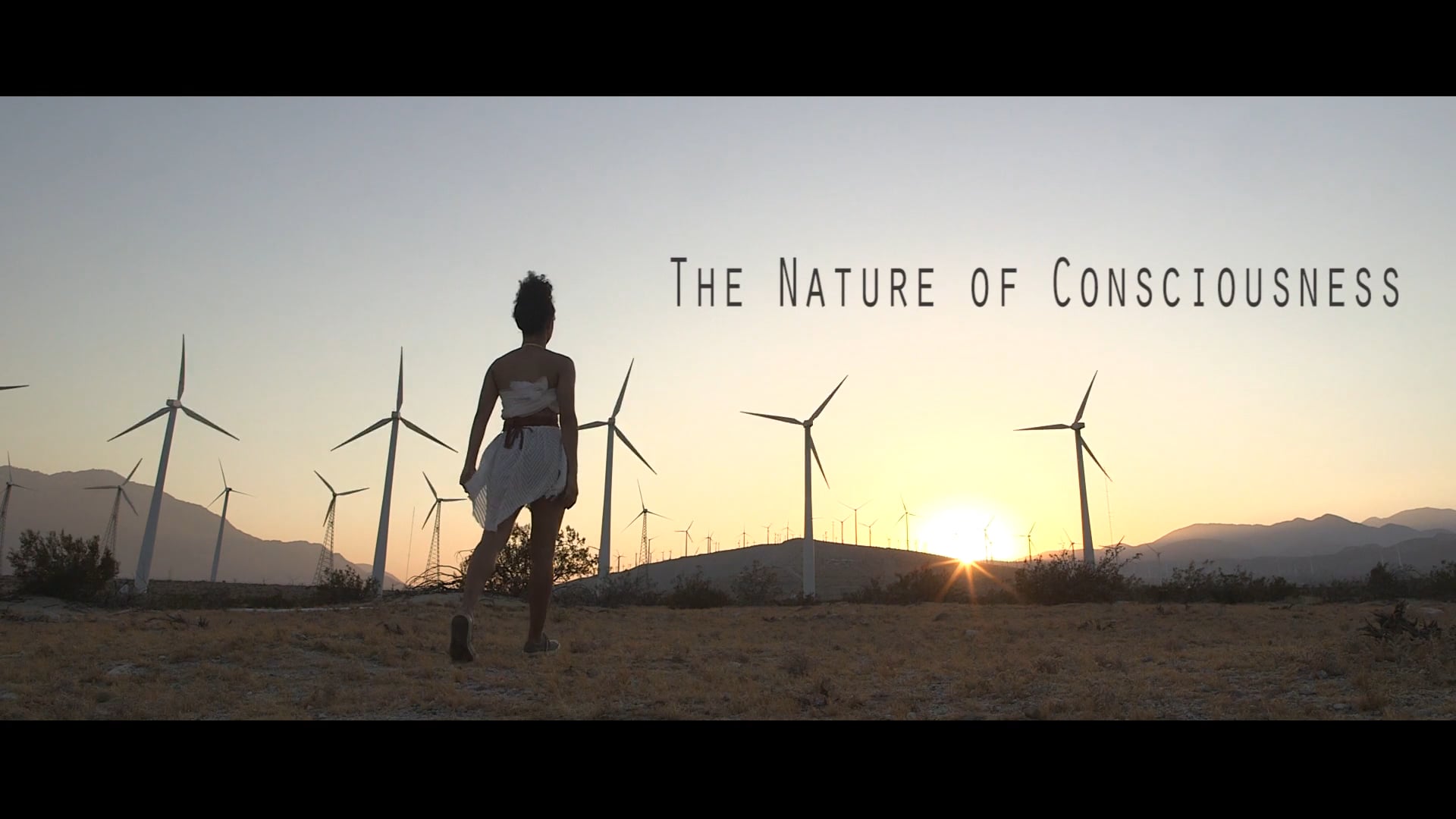 Trailer: The Nature of Consciousness