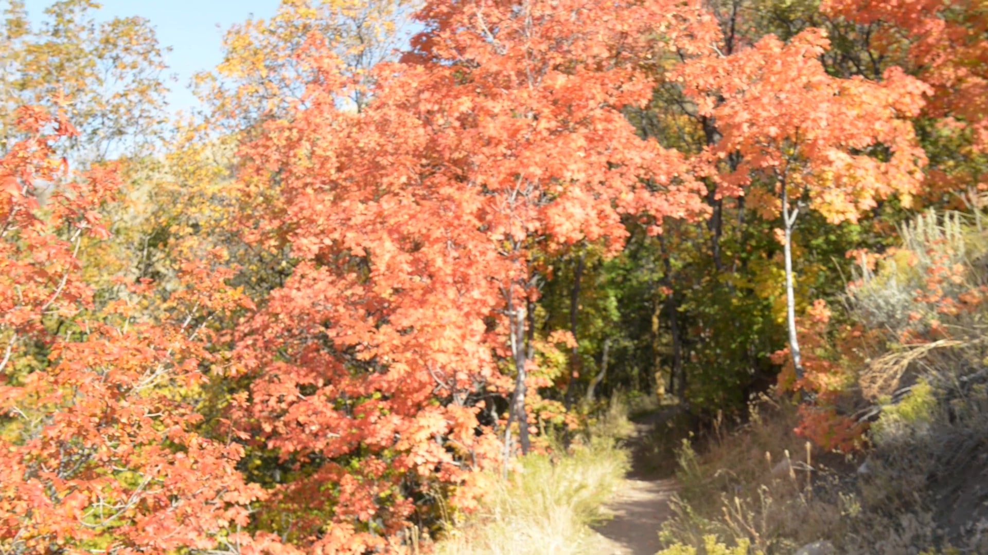 Fall Hiking on Vimeo