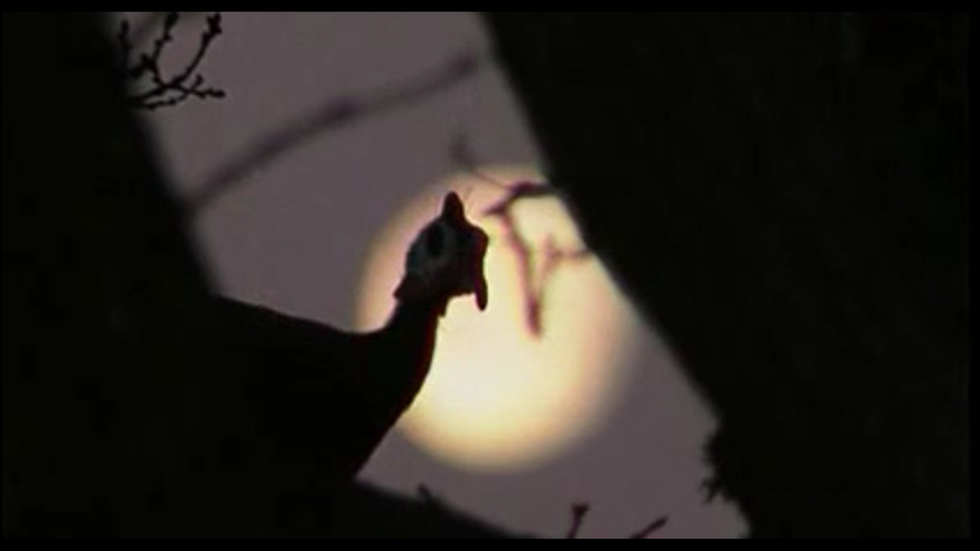 Teaser documentaire - La vie sauvage des animaux domestiques