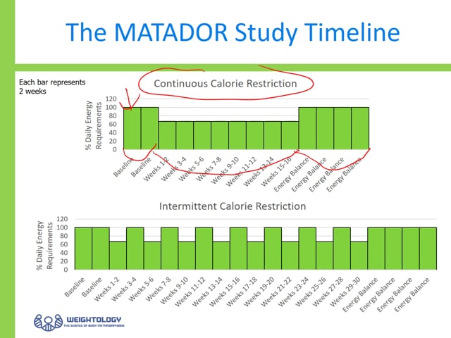 Continuous or Intermittent Calorie Deficits Which is Better for Fat Loss