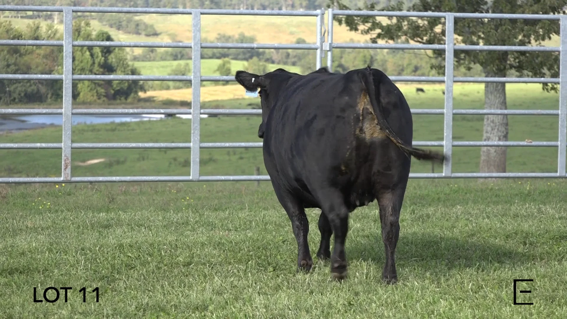 ZWT Ranch - LOT 11 on Vimeo
