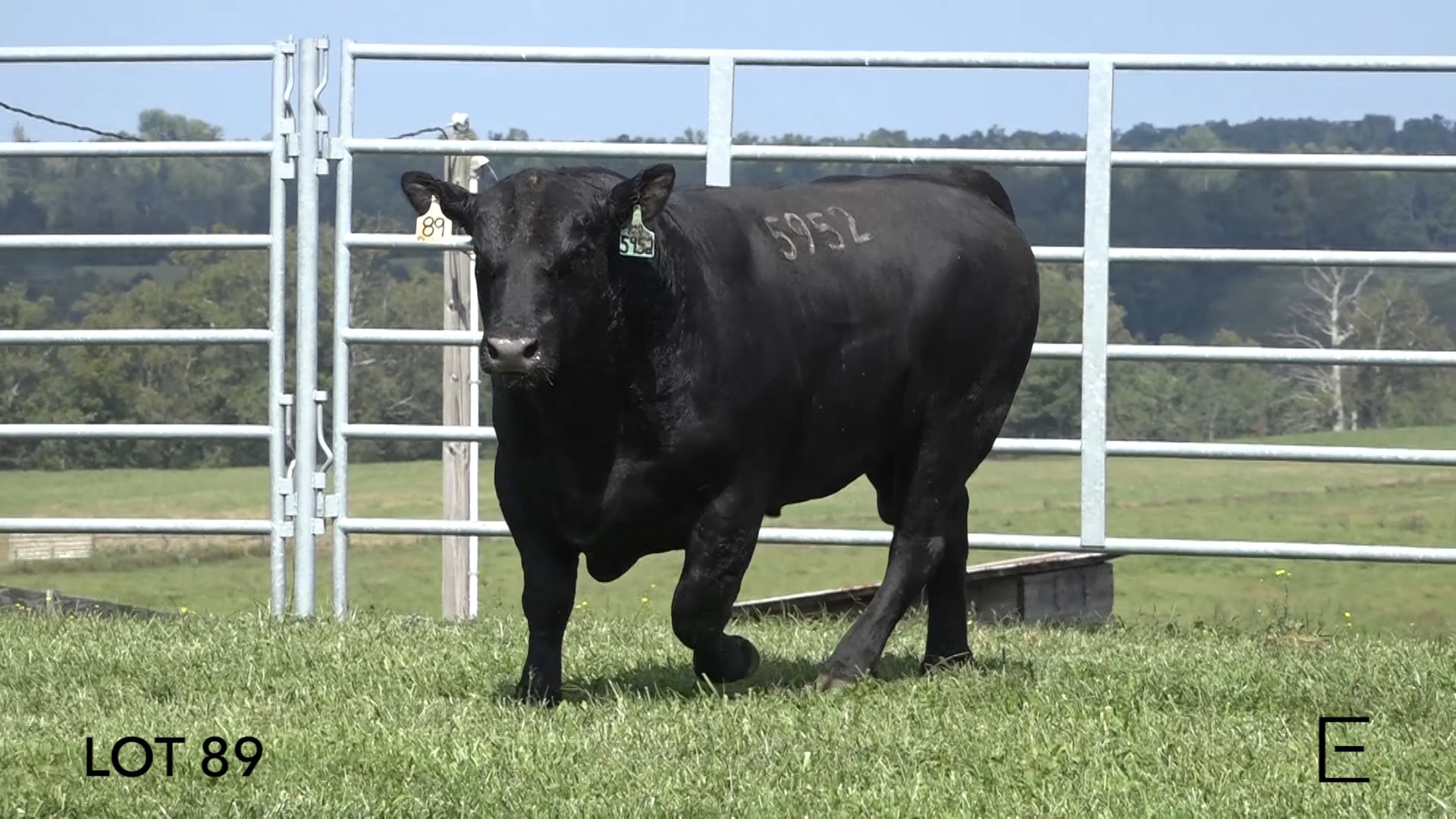 ZWT Ranch - LOT 89