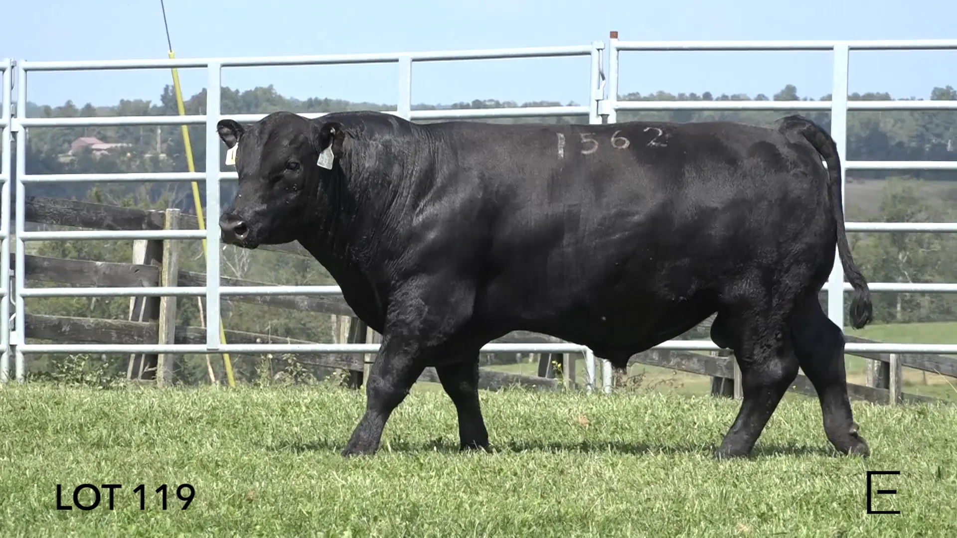 ZWT Ranch - LOT 119 on Vimeo