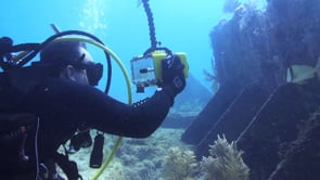 Ocean Conservation Network