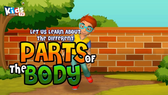 Body Parts of the Human | Body parts song for children -Kids learn TV