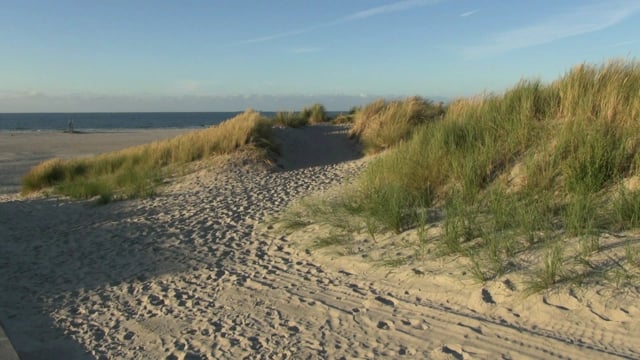 De natuur van Terschelling