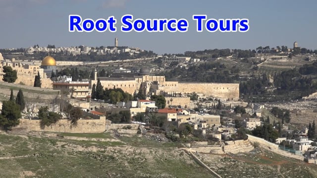 Root Source Tours