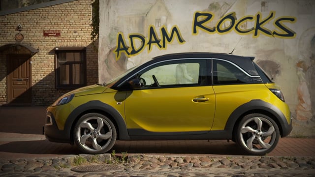 ADAM Rocks 