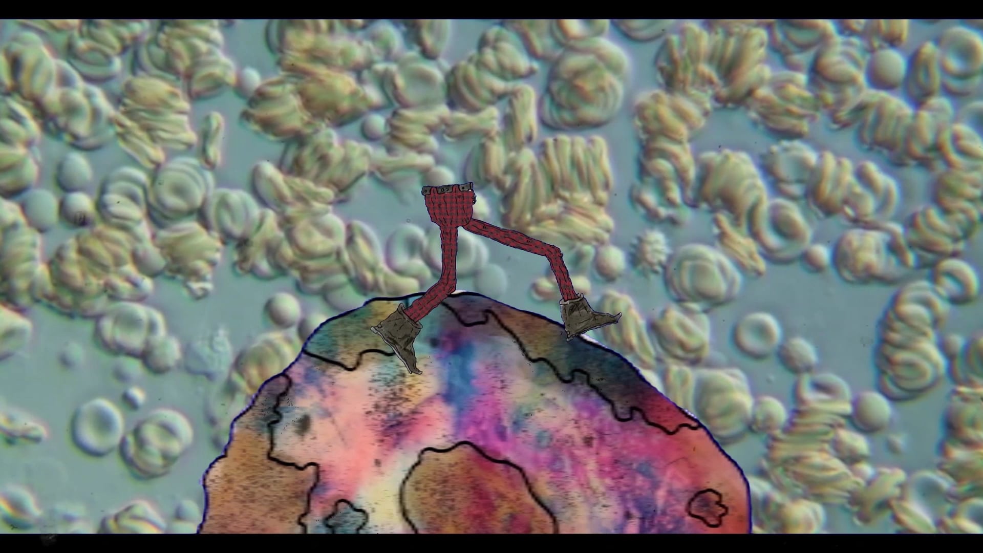The Walking Wengo Wiggler