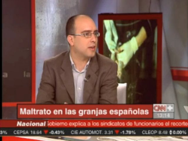 Noticia CNN+ Investigación de Igualdad Animal en 172 granjas de cerdos