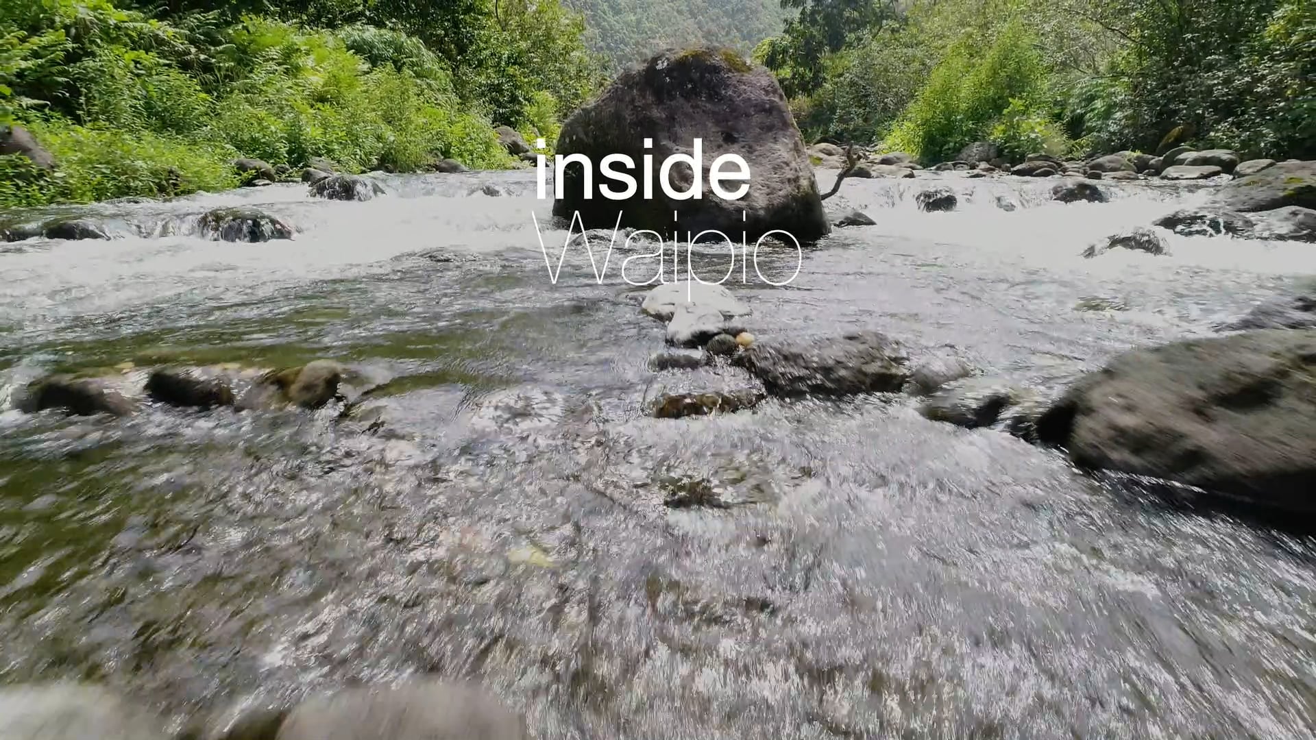 Inside Waipio