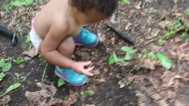 Related Embedded Video Item Thumbnail