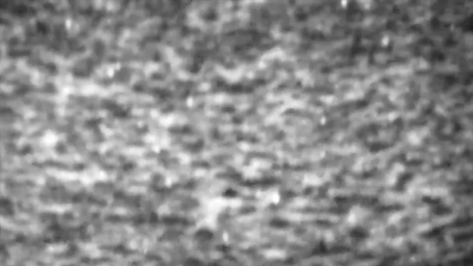 The Earth in the Sea
