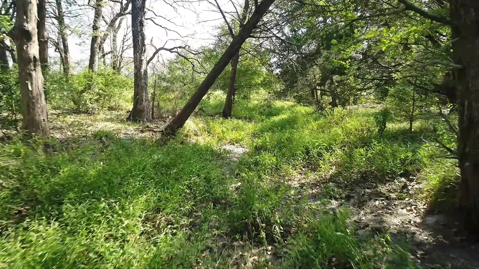 Waldeck Road Round Top TX NonBranded on Vimeo