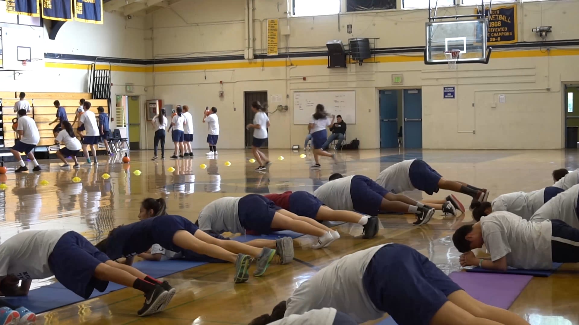 Lion Fitt Introduction