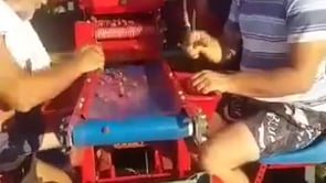 Kombajn Marek - Zbiór Maliny Serbia