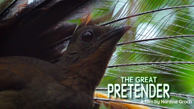 THE GREAT PRETENDER TRAILER Produced by Nardine Groch