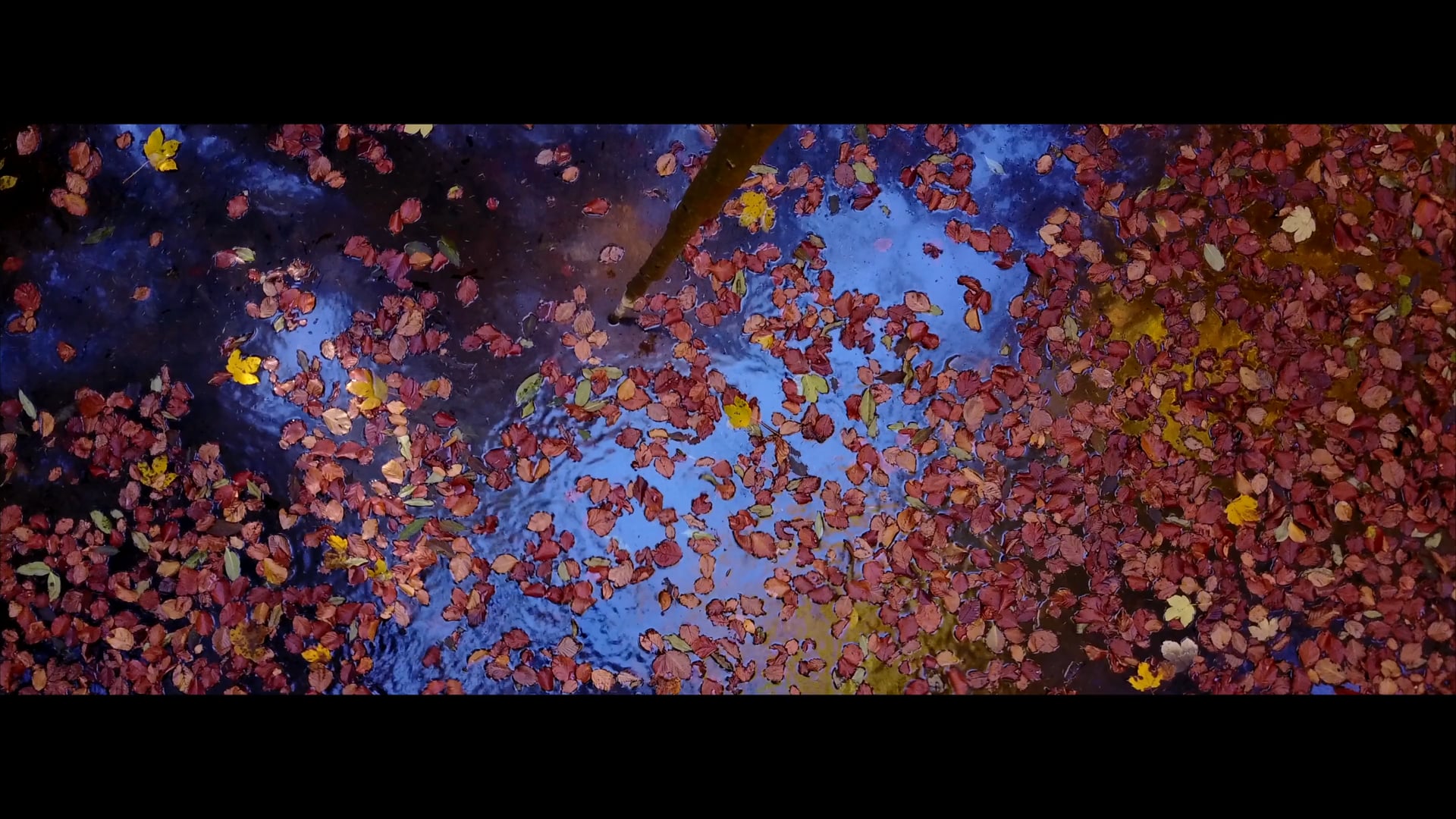 FALLing in Love with the COLOURS - ARTE SELLA