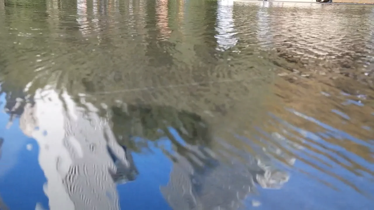 Water on Vimeo
