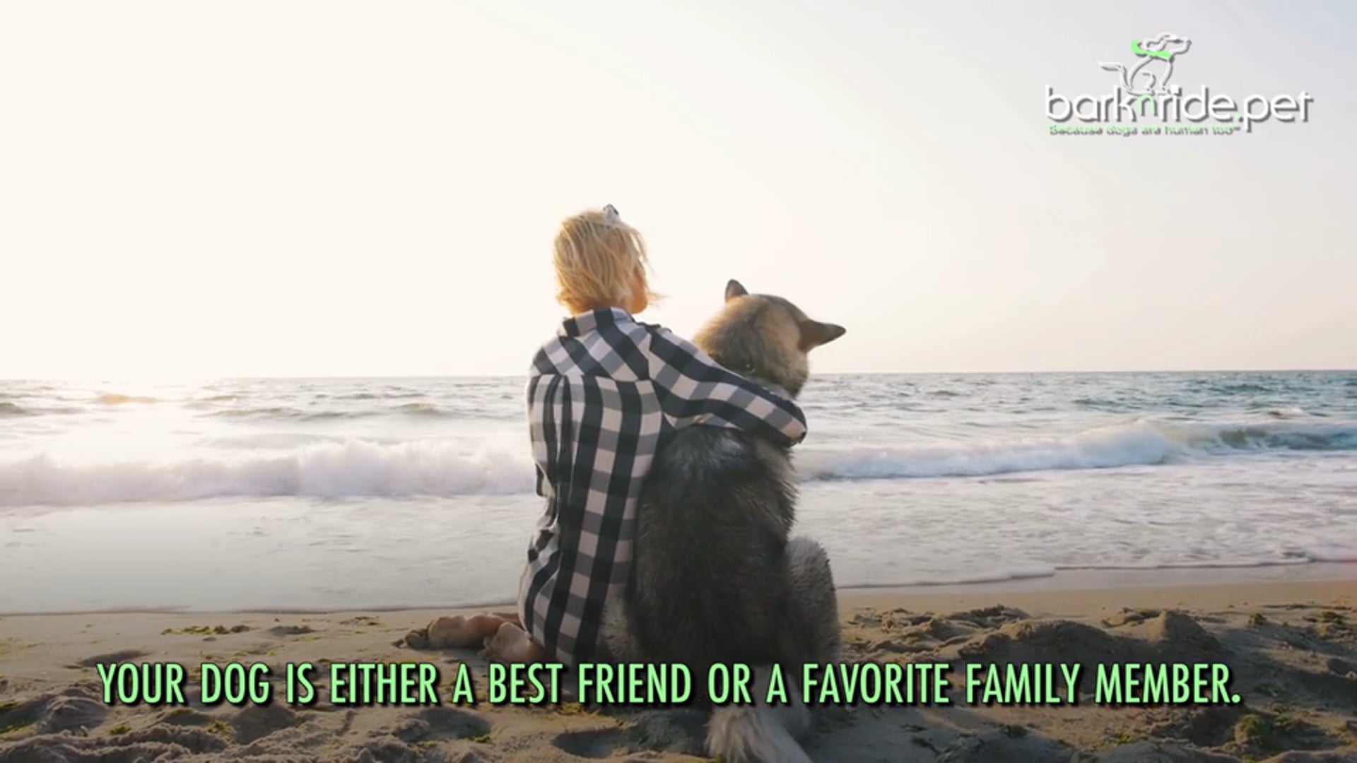 Bark n' Ride Promo