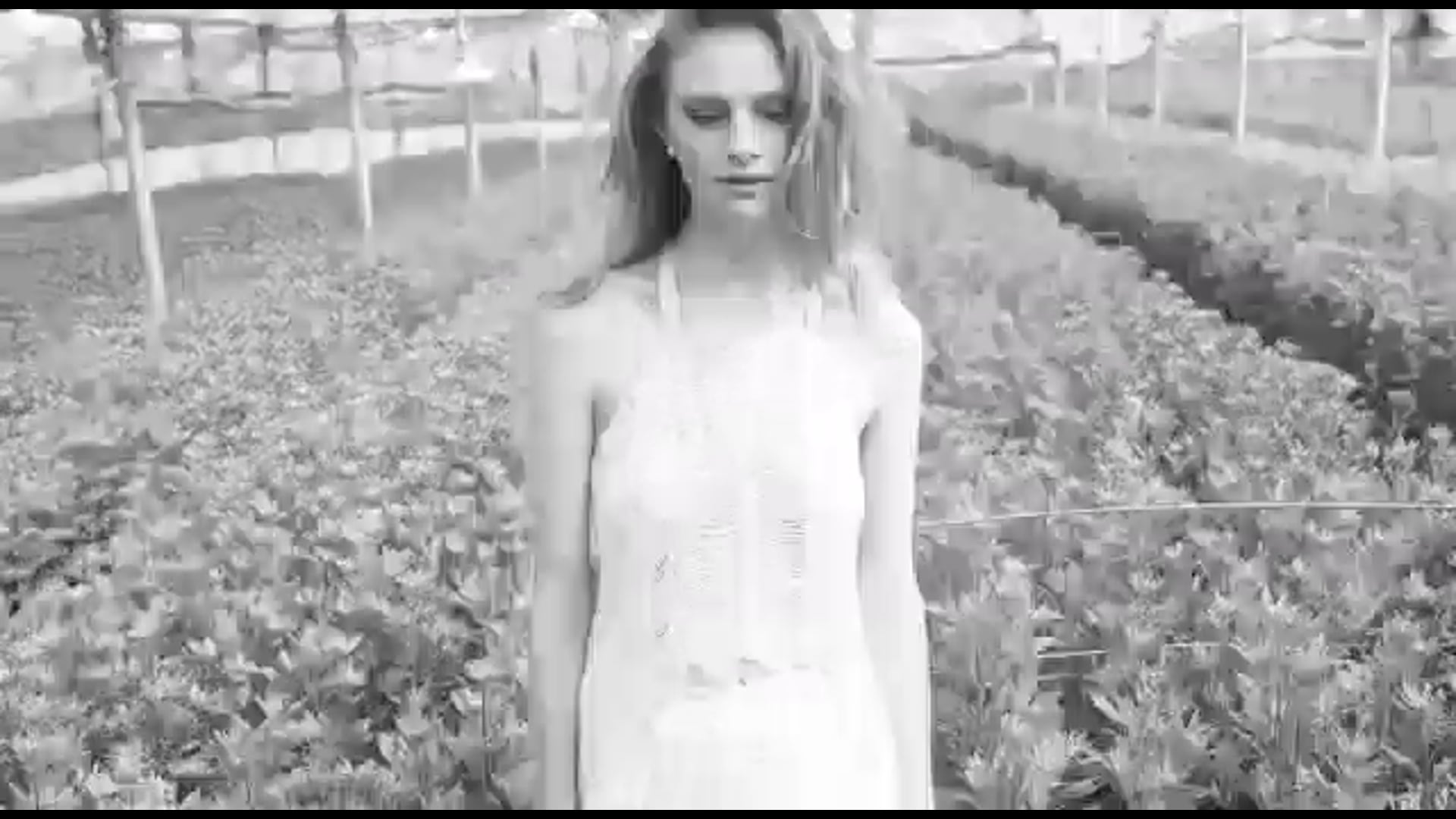 DANA HAREL