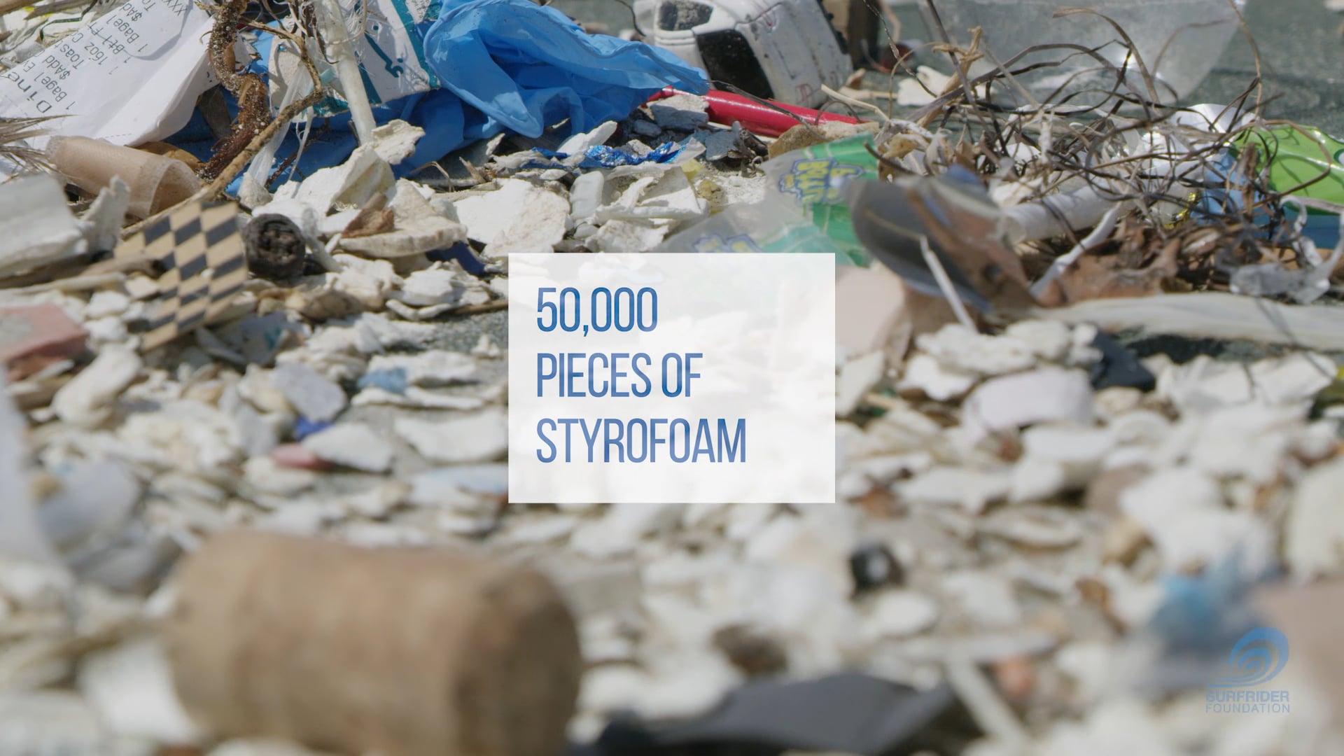 Surfrider Foundation 'Beach Cleanup'