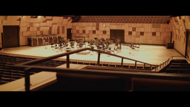 video Wood Veneered Wall & Ceiling Panels | Gustafs