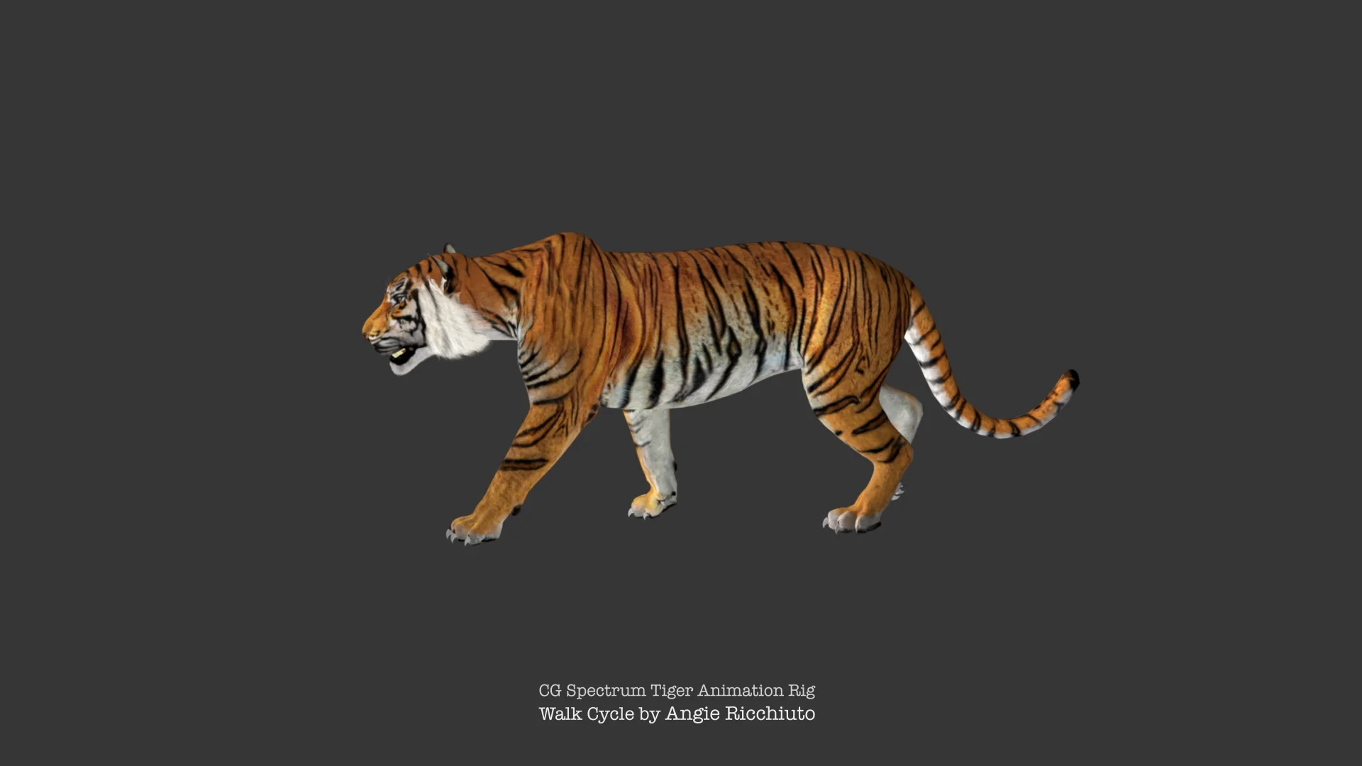 CG Bengal Tiger Animation 