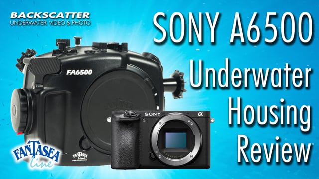 Sony A6500 Underwater Housing Review - Fantasea FA6500