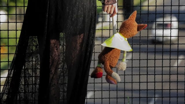 Related Embedded Video Item Thumbnail