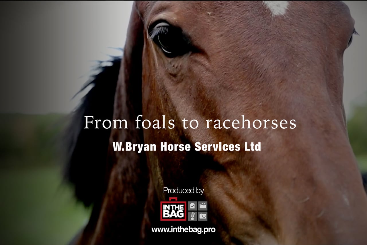 From Foals To Racehorses