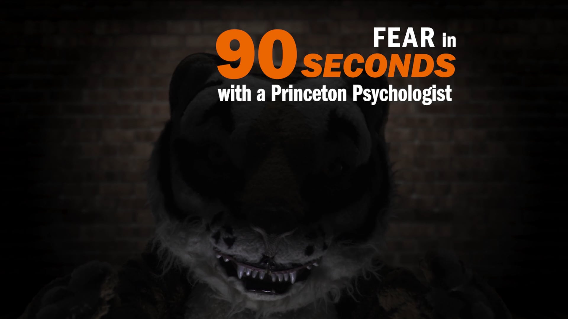 Fear, explained in 90 seconds