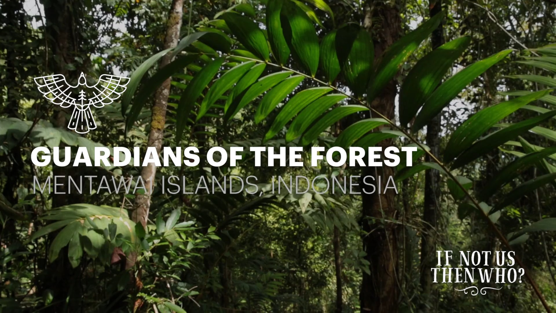 Guardians of the Forest - Mentawai Islands, Indonesia on Vimeo