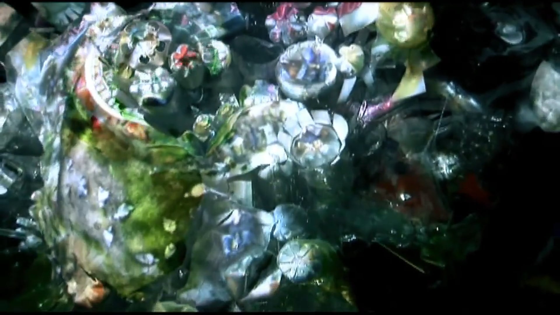 Jakub Nepraš, Adela