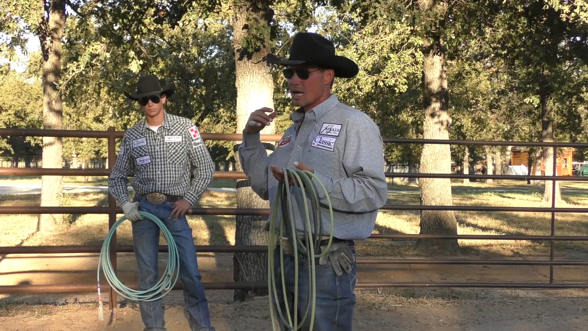 Working With Head Horses In The Box with Marty Becker FREE