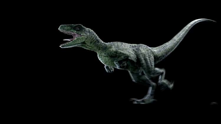 Dinosaur run cycle on Vimeo