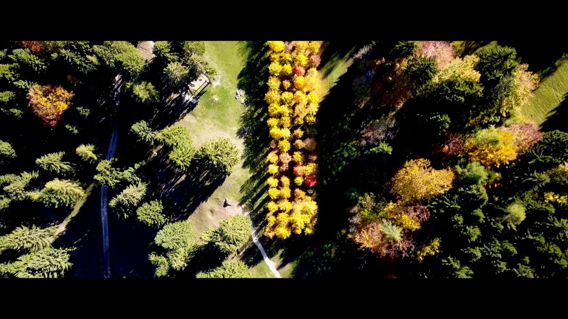 FALLing IN LOVE WITH COLOURS vol.2 - ARTE SELLA