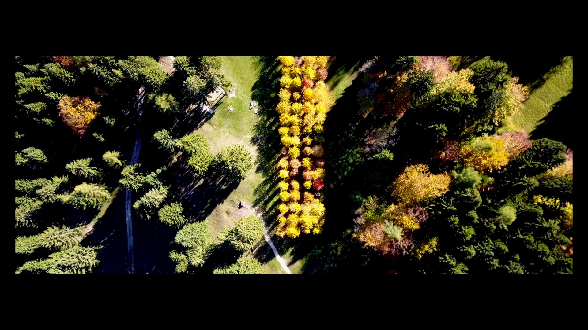 FALLing IN LOVE WITH COLOURS vol.2 - ARTE SELLA