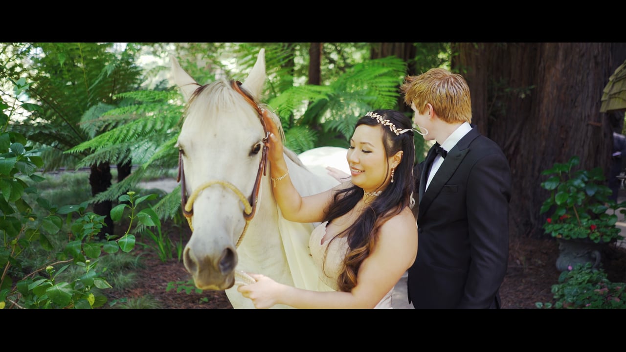 Chalisa + Cutter | Nestldown Wedding in 4K
