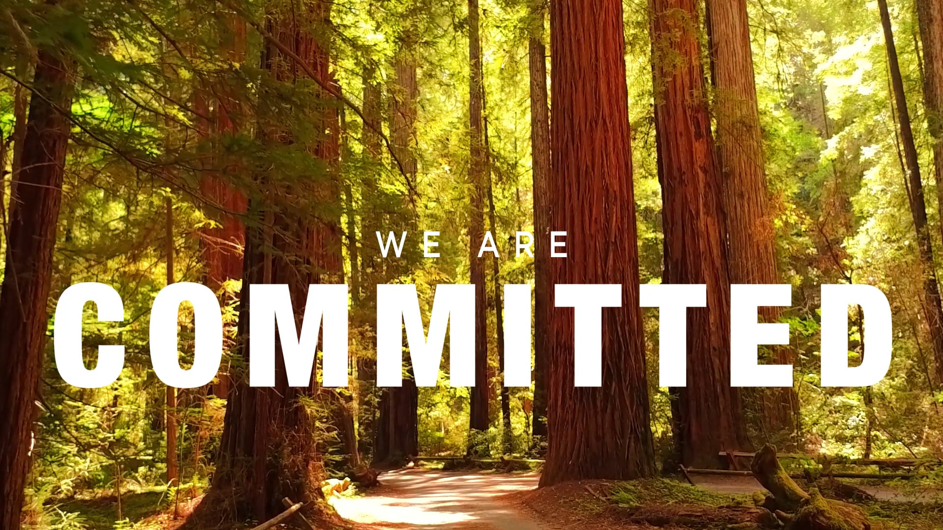 We Are Sonoma County Strong