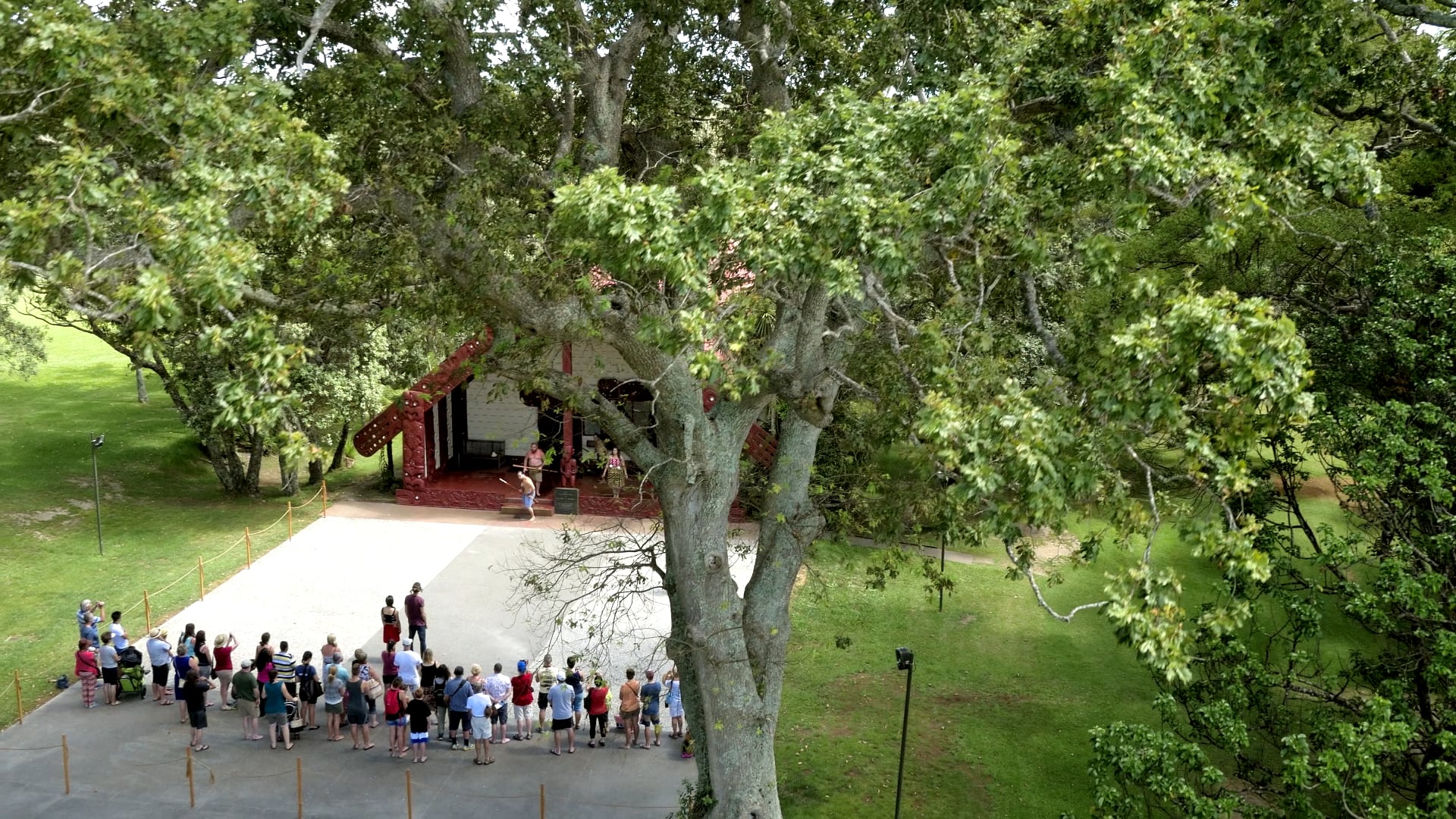 Cultural Performance - Waitangi Treaty Grounds