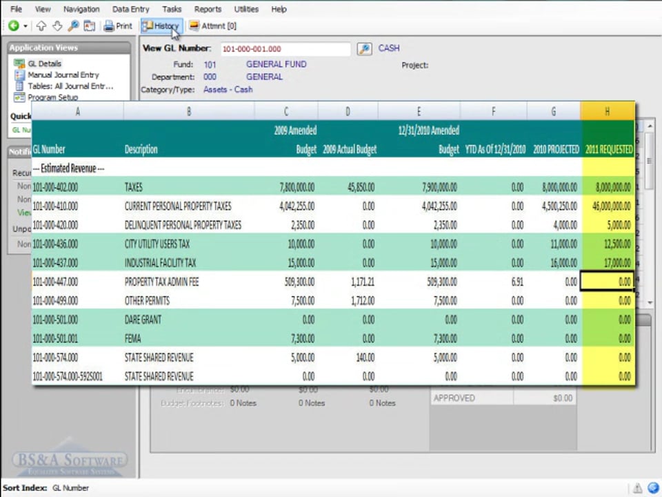 Budget Entry Options