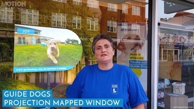 GUIDE DOGS FUNDRAISING WINDOW DISPLAY