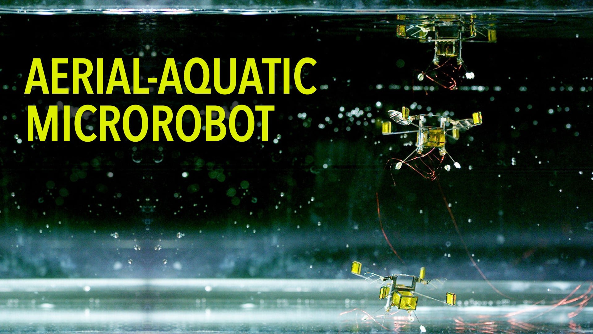 Aerial-Aquatic Microrobot