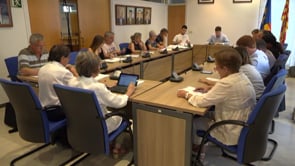 Demà Ple extraordinari per rebutjar l'aplicació de l'article 155 de la constitució
