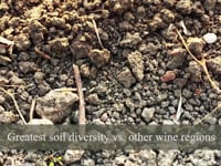 wine article Napa Valley Vintners Geology of the Napa Valley