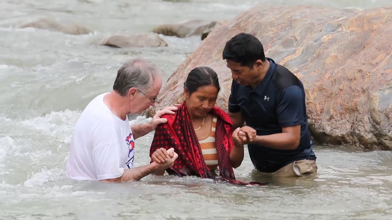 2017 PUMA Year in Review