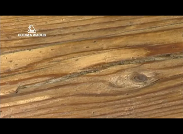 Video tutorial on surface treatments of wood, Borma Wachs