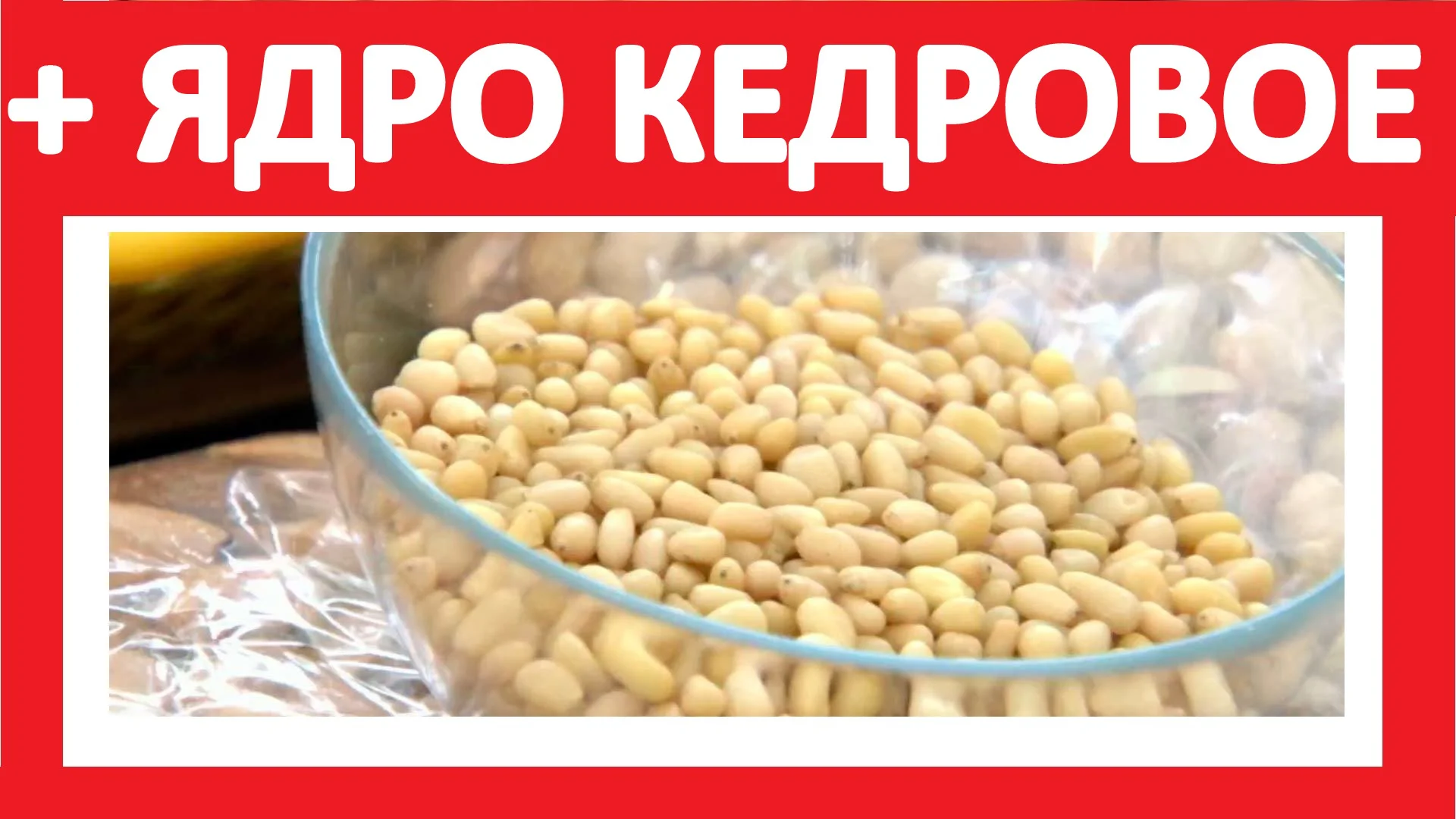 Код кедрового