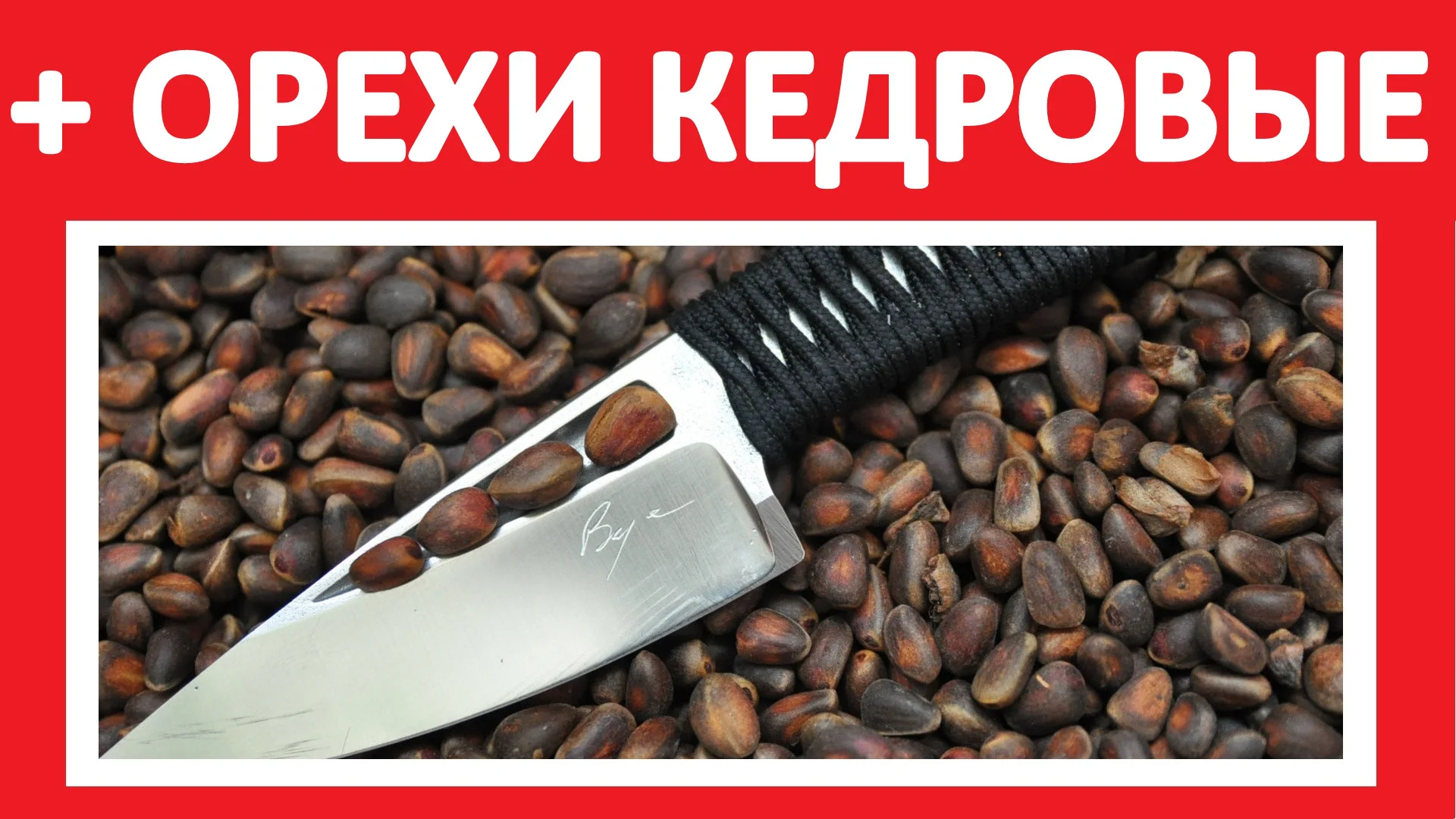 Кедровые шишки с орехами. Кедровые орехи на армянском языке. Ядро кедрового ореха. Карточка товара кедровые. Кедр белка орех.